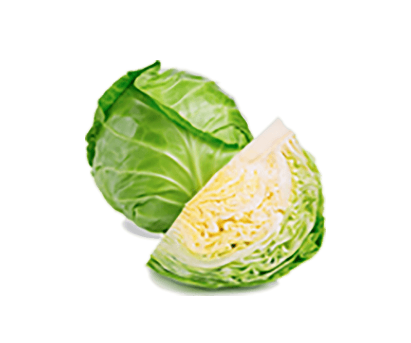 Organic Cabbage